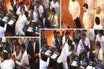 Sri Lankan crisis turns ugly fight in parl