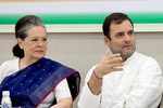 Sonia, Rahul won't be part of consultation