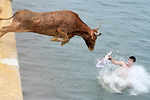 Bulls jump into sea in Spanish festival