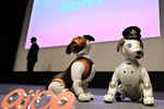 Sony offers robocop dog at home
