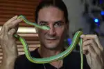This man's venom habit holds hope for new antidote