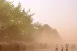 Dust storm kills 45 in UP and 34 in Rajasthan