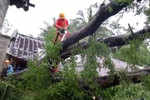 Cyclone Bulbul wreaks havoc in Odisha
