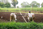 Agriculture reforms: Free market, finally!