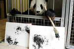 Believe it or not: This cuddly panda's art stroke is worth $560 online