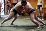 Key facts about sumo, a sport like no other