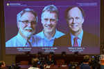 Scientist trio from UK, US bags Nobel Medicine Prize for research on how cells sense oxygen