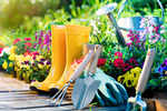Gardening, singing & reading can keep mind active, and lower dementia risk