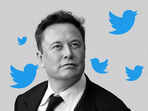 Elon Musk expected to proceed with Twitter buyout deal at $54.20 per share: Report