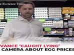 'A dozen eggs will cost you around $4...': JD Vance 'caught lying' on camera while targeting Harris