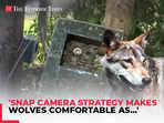 UP wolf attack: Forest Dept installs Snap cameras at probable habitats of wolves in Bahraich