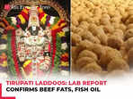 Tirupati Prasadam row: Lab report finds presence of animal fat, fish oil in ghee used for laddoos