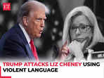 Liz Cheney might not be such a 'war hawk' if she had rifles shooting at her: Donald Trump