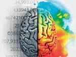 Brain abnormalities can predict epilepsy risk