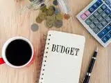 Budget 2019 disappoints mutual fund participants, investors