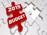 Here's what top mutual fund managers think about budget 2019
