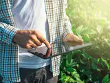 e-NAM: An idea that began as modest experiment in Gulbarga APMC eight years ago