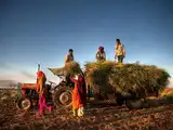 West Asia conflict deals a double whammy to India&rsquo;s farm sector: pre-harvest cost pressures, post-harvest shipping delays