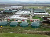 India has 62 MMT annual compressed biogas potential; animal waste could become the biggest contributor: Report