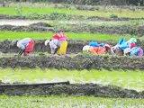 Government sets agri credit target at Rs 15 lakh cr for FY21, says Sitharaman