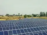 Renewable Energy India Expo 2026 to unlock Rs 2,800 cr investment in bioenergy sector: IBA