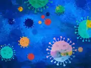 7 everyday foods that strengthen your immune system naturally