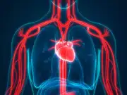 ​6 foods that support vein health and improve blood flow naturally​