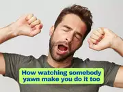 Why does seeing someone yawn make you yawn too?