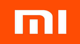 India accounts for three of Xiaomi's top five global sales channels