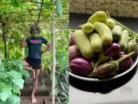Milind Soman grows pumpkins, cucumbers and other vegetables in his greenhouse. He shares how to build a small greenhouse at home