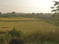 Assam Cooperative Apex Bank Latest News Videos Photos About Assam Cooperative Apex Bank The Economic Times Page 1 Assam Cooperative Apex Bank Latest News Videos Photos About Assam Cooperative Apex Bank The Economic Times Page 1