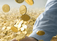 Is premature redemption allowed in Sovereign Gold Bonds?