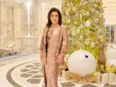 Is Farah Khan making a comeback as director and leaving YouTube? She confirms new film after 12 years, but there’s a condition