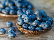 A pick of blueberries in Panchgani: will the Canadian touch be there?