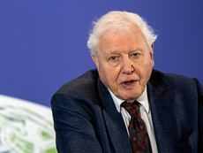 David Attenborough urges people to donate and save Zoological Society of London