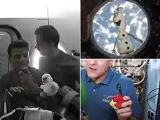 Why so astronauts take soft toys to space? Shubhanshu Shukla carries swan 'Joy'. A look at their companions from past missions