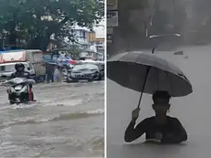 Rains flood Mumbai, memes flood the internet. Check out the most loved one