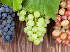 Black Grapes vs Green Grapes vs Red Grapes: The ultimate comparison to know which variety is best in nutrition