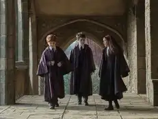 Harry Potter TV series: Makers drop trailer featuring new Harry, Ron and Hermione. OTT streaming date and time in India, number of episodes and cast