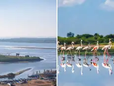 7 hours drive from Bengaluru lies a magical lake turns 'pink' during this time of the year