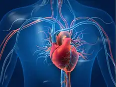 One organ in our body rarely developes cancer. Doctor explains why: ‘The organ that works nonstop for your entire life…’