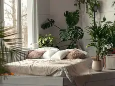 7 plants you must keep in bedroom to attract positive energy and get better sleep