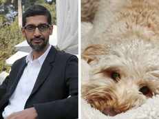 When Sundar Pichai's pooch gained celeb status