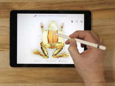 Apple's summer gift for India: 9.7-inch iPad at Rs 28,000