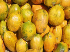 Papaya: Secrets of the tropical delight