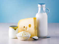 Want to keep the intestines in order? Don't binge on milk and cheese