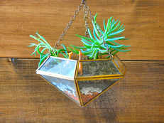 Give your home a green makeover: Plants, handcrafted pots & planters from Qtrove.com offer the ideal solution