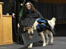 Golden retriever gets diploma with his owner, will be a package deal when she applies for jobs