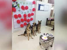 Pooches that save lives! Mumbai Police honours dogs-in-training, throws a paw-licious birthday bash