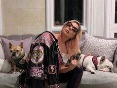 Lady Gaga's dog-walker shot, bulldogs stolen; singer offers $500,000 reward